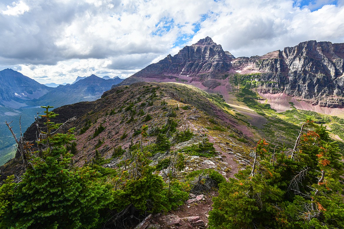 Looking back toward Mount Rockwell along the krummholz-covered ridgeline near Two Medicine Pass and Chief Lodgepole Peak in Glacier National Park on Wednesday, Aug. 21. (Casey Kreider/Daily Inter Lake)