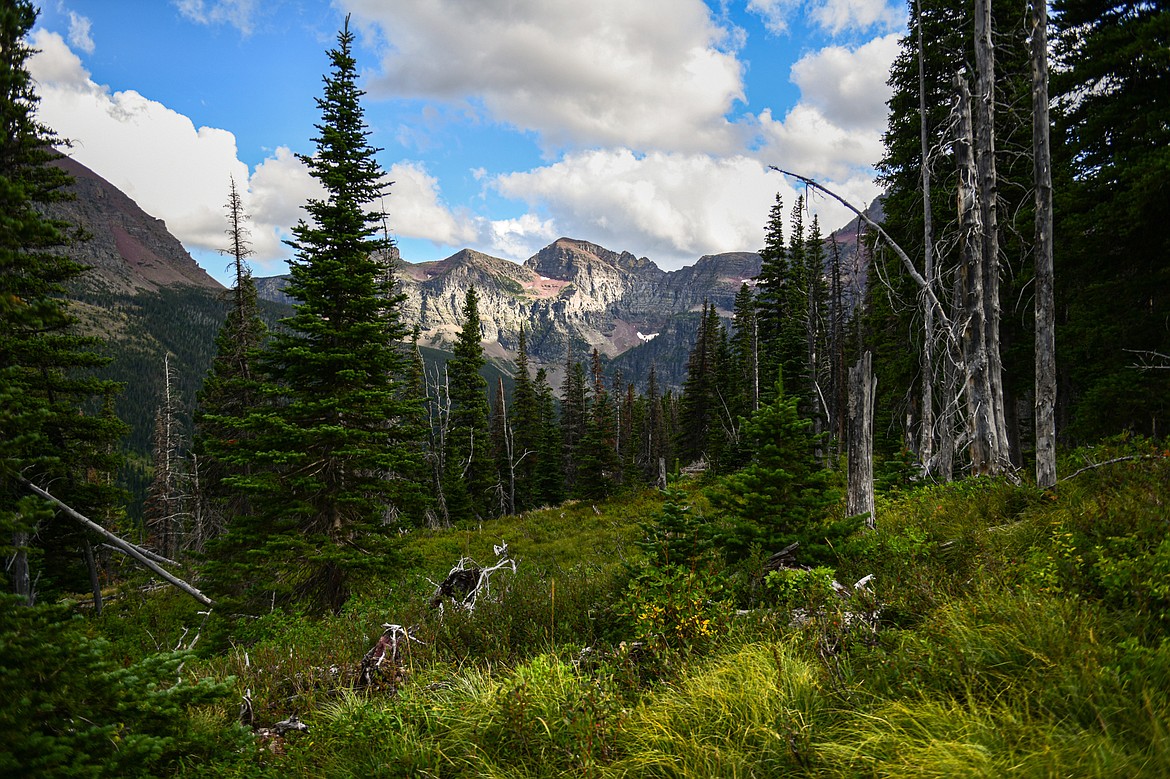 A view of Never Laughs Mountain between Rockwell Falls and Cobalt Lake on the Two Medicine Pass Trail in Glacier National Park on Wednesday, Aug. 21. (Casey Kreider/Daily Inter Lake)