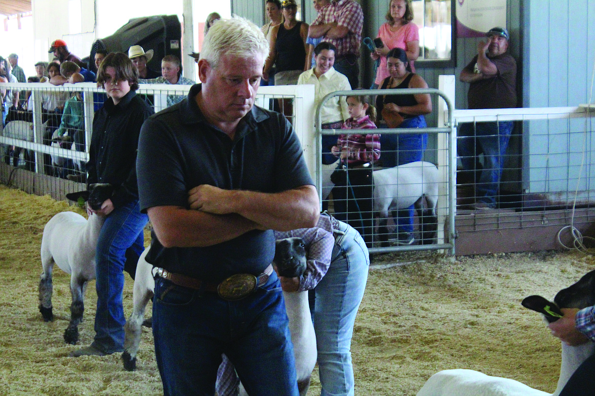 Lamb judge Kurt Burns evaluates the entries in the market class at the Grant County Fair.