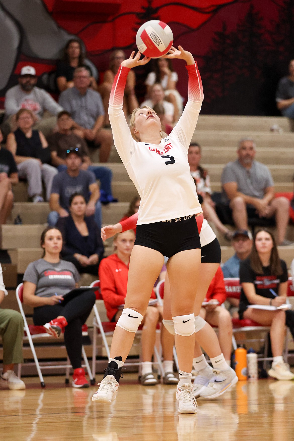 Sandpoint High senior setter Calie Bailey sets up one of her hitters during Tuesday night's match.