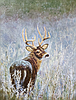 ART INSIGHTS: How often do you manage it? Your artwork, of course