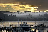 A river otter attacks a child at a Seattle-area marina