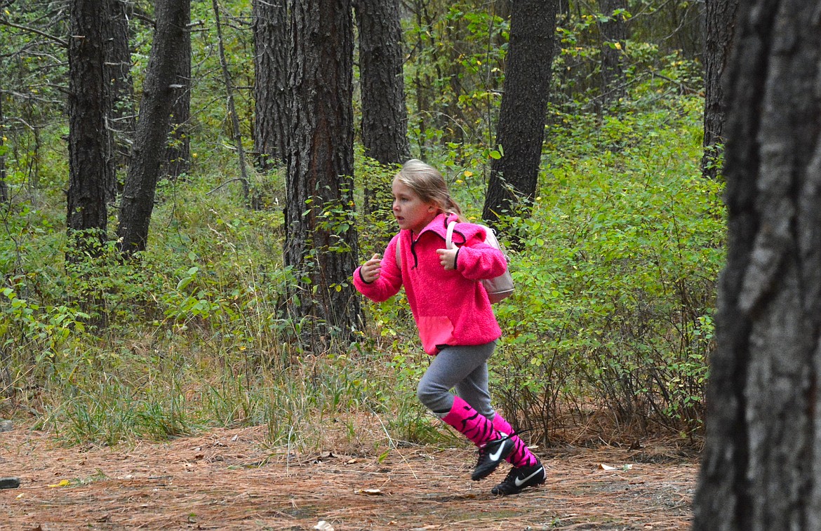 Akin to the frenzy of an Easter egg hunt, kids and adults alike ran around the forest searching high and low for uniquely painted rocks with bears on them.  (Mineral Independent/Amy Quinlivan)