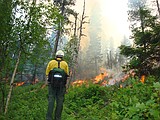 Coeur d'Alene BLM office announces more prescribed burn projects