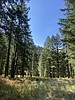 Over the Hill: Should I be solo hiking?