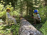 Education Environment in its first year, program teaches Idaho, Montana youth how to backpack, clear trails