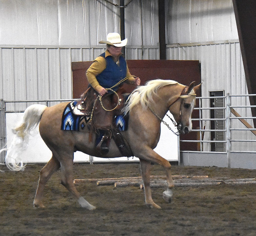 Whatbis Ranch Riding Class ‘Mother of all breeds’ | Hagadone News Network
