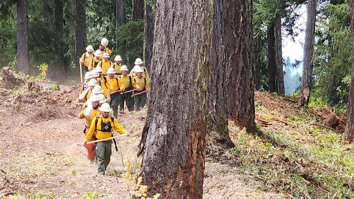 The Washington Commissioner of Public Lands oversees the state's efforts to fight wildfires, among other duties.