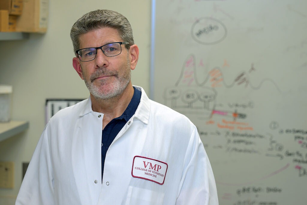 WSU's Troy Bankhead will be working on identifying better means of treatment and prevention of Lyme disease, an infection often carried by ticks.