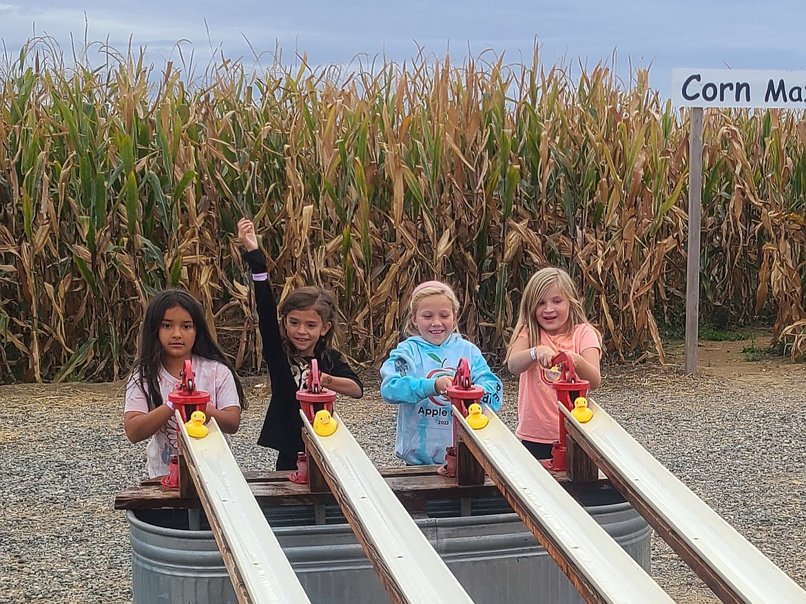 Kids get ready to race their ducks at Country Cousins, south of Othello.