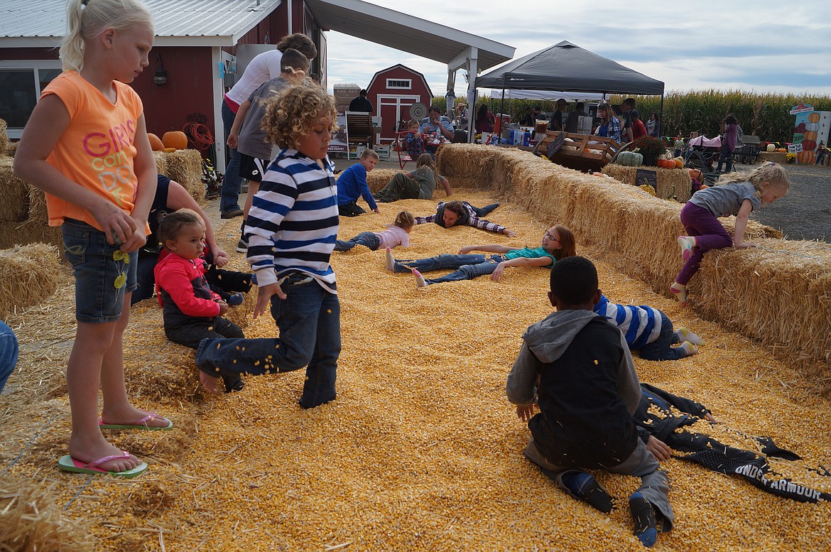 Children play in the corn pit at Country Cousins. The pit is mostly for kids, said co-owner Amy Freeman Phillips, but grownups sometimes find it therapeutic as well.