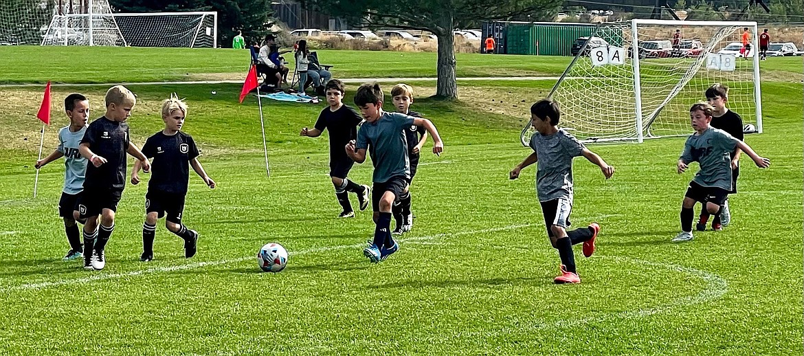 Photo by MANDY MATHENEY
On Sept. 21 at Plante's Ferry Sports Complex in Spokane Valley, the Sting U9 Boys Yellow soccer team defeated the WE Surf SC B16 Griffith team 9-2. Sting goals were scored by Jaxson Matheney (3), Xavier Sousley (2), Hudson Helbling (2), Atlas Lepley (1) and Elijah Cline (1). Pictured in the black jerseys from left are Atlas Lepley, Hudson Helbling, Thomas Ely, Micah D’Alessandro, and Lincoln Sargent.