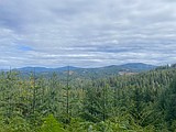 Over the Hill: Signs of fall among the evergreens