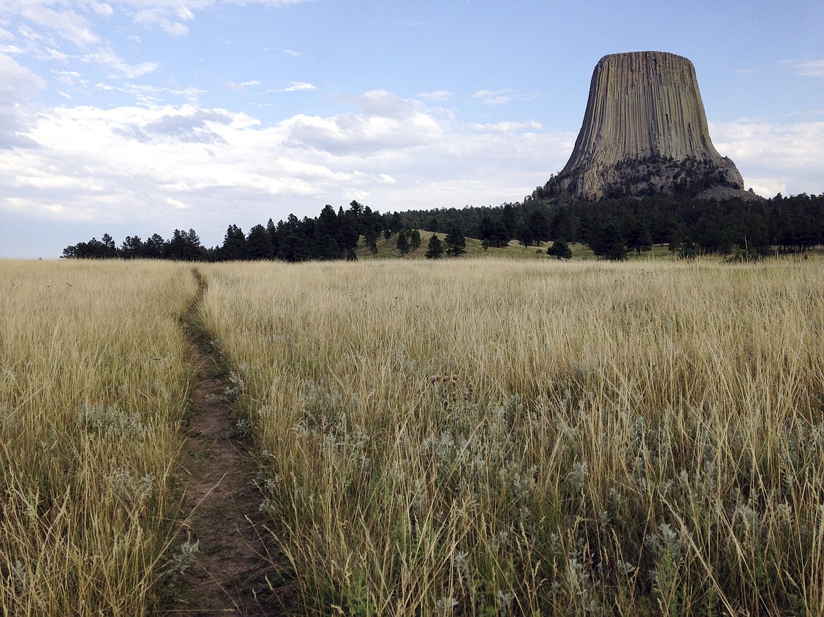 This July 29, 2017 photo shows Devils Tower in northeastern Wyoming. (AP Photo/Susan Montoya Bryan, File)