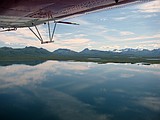 Former outfitter and Forest Service employee pleads not guilty to Alaska grizzly killing
