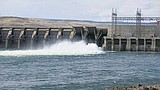 Coho salmon season opens above Priest Rapids Dam