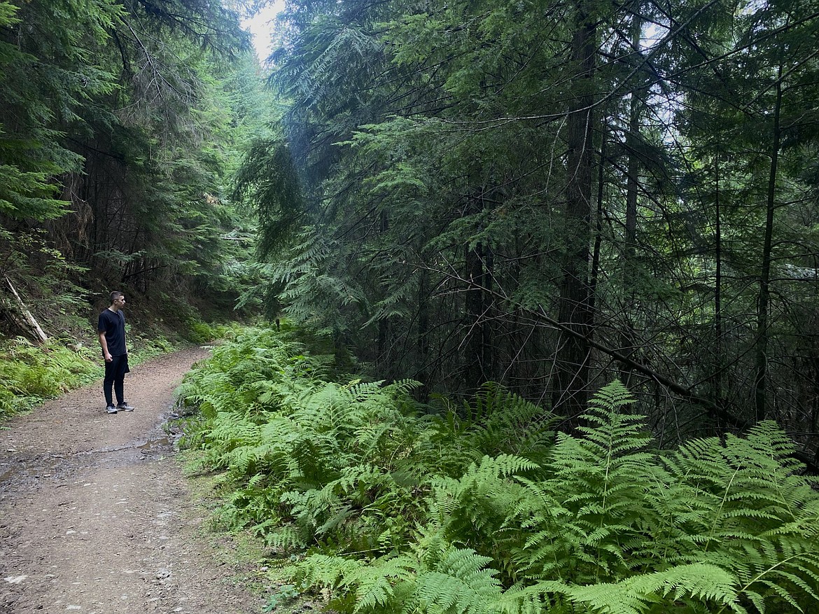 My brother, Austin, on the densely forested Fourth of July Summit Loop Trail.