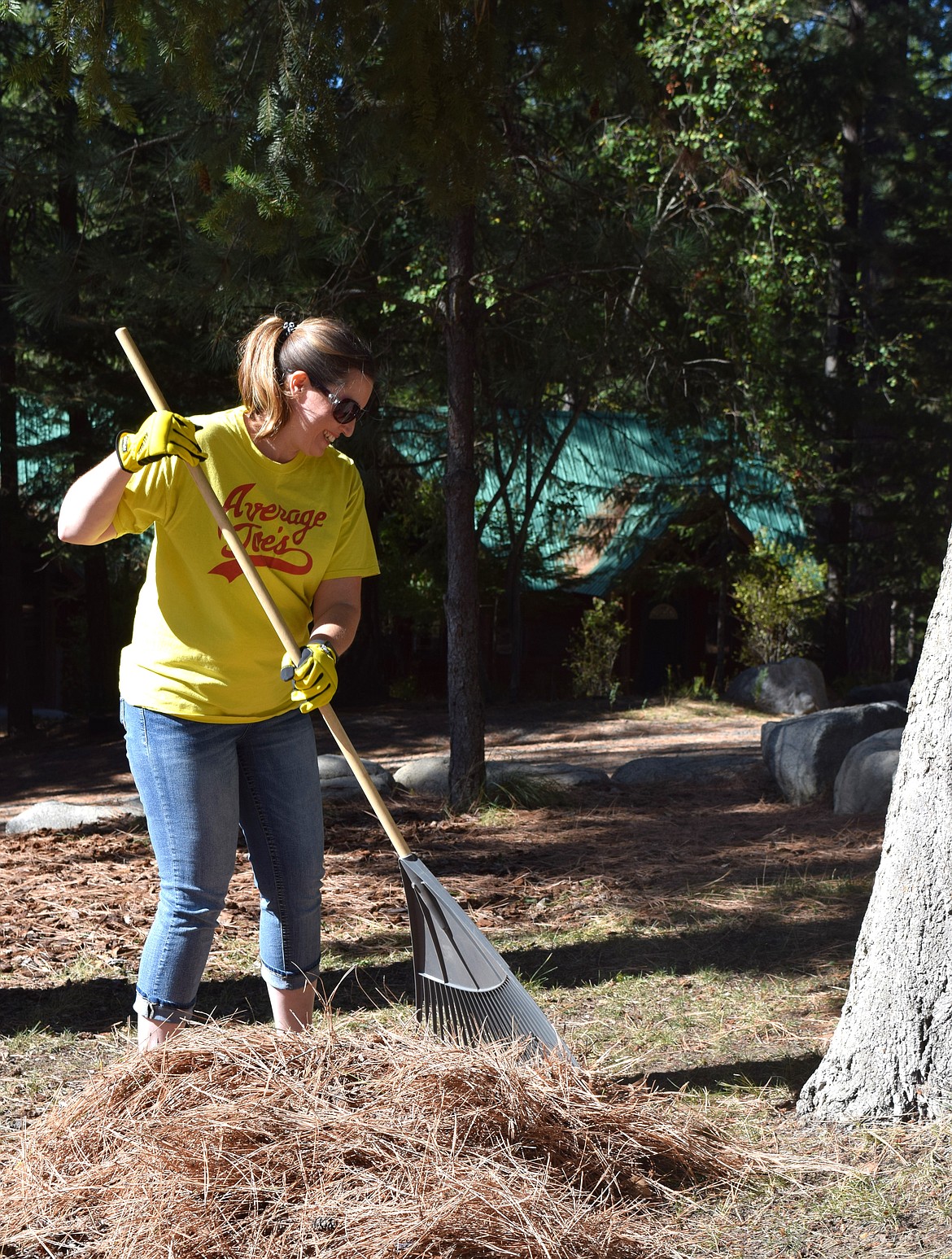 Angela Minehart, from the Coeur d'Alene Press, rakes pine needles as part of Day of Caring volunteer efforts at Camp Lutherhaven on Thursday.