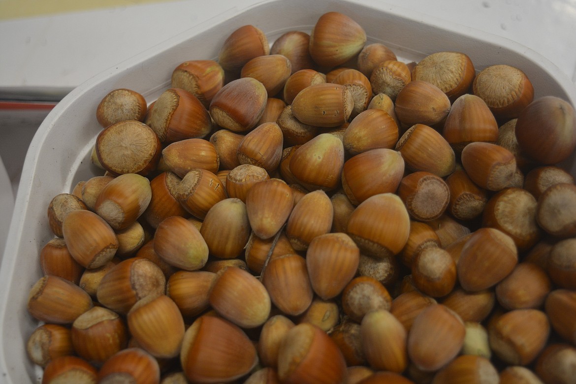 Hazelnuts on the Berry and Nut Farm are separated from their husks and then placed on drying racks for 10 days.