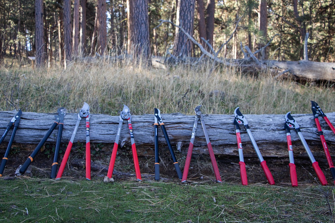 Hand shears sit at a volunteer event on Wild Horse Island through Montana Fish, Wildlife and Parks on Sept. 28, 2024. (Kate Heston/Daily Inter Lake)