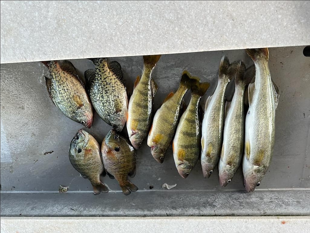 Mark Gettman of Arlington, Washington caught this mixed bag of fish while visiting the Potholes Reservoir.