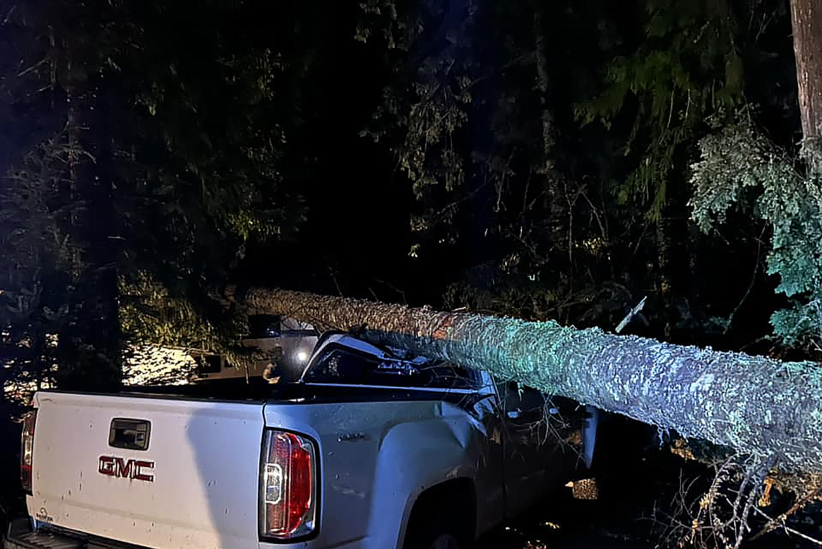 Area bounces back from storm induced outage Bonners Ferry Herald