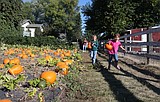 Prairie Home Farm to host 20th anniversary party Sunday