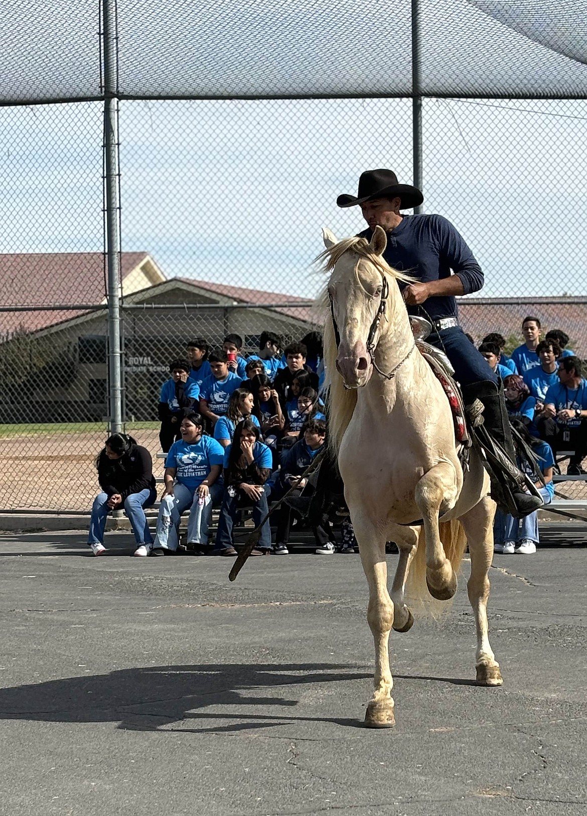 Miguel Cabrerro and his dancing horse Perlina show some moves at Royal Middle School’s Hispanic Heritage Day Thursday.