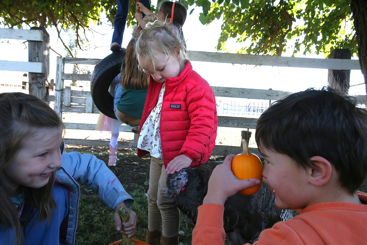 Zoey Williams, 2, center, befriends a docile turkey at Prairie Home Farm as Marcie Nebinger, left, and Conor McDaniel share a little pumpkin fun Wednesday morning.