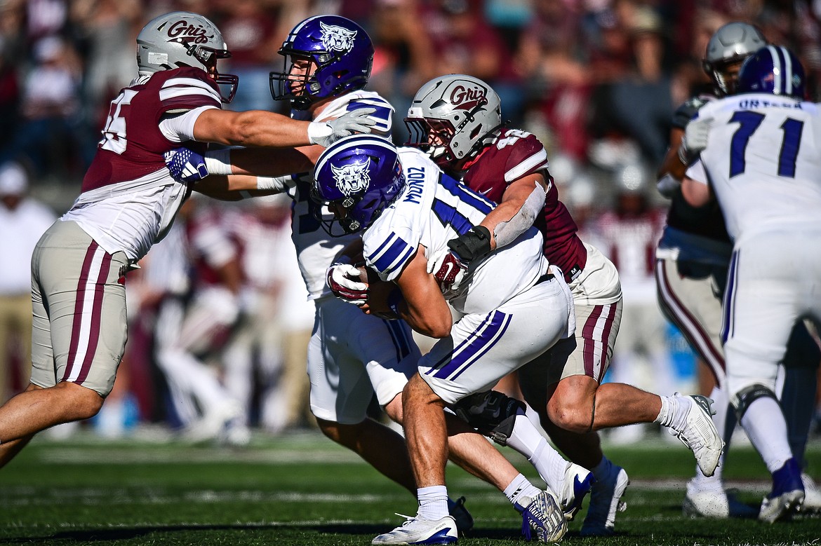 Grizzlies linebacker Riley Wilson (42) sacks Weber State quarterback Richie Munoz (10) in the fourth quarter at Washington-Grizzly Stadium on Saturday, Oct. 5. (Casey Kreider/Daily Inter Lake)