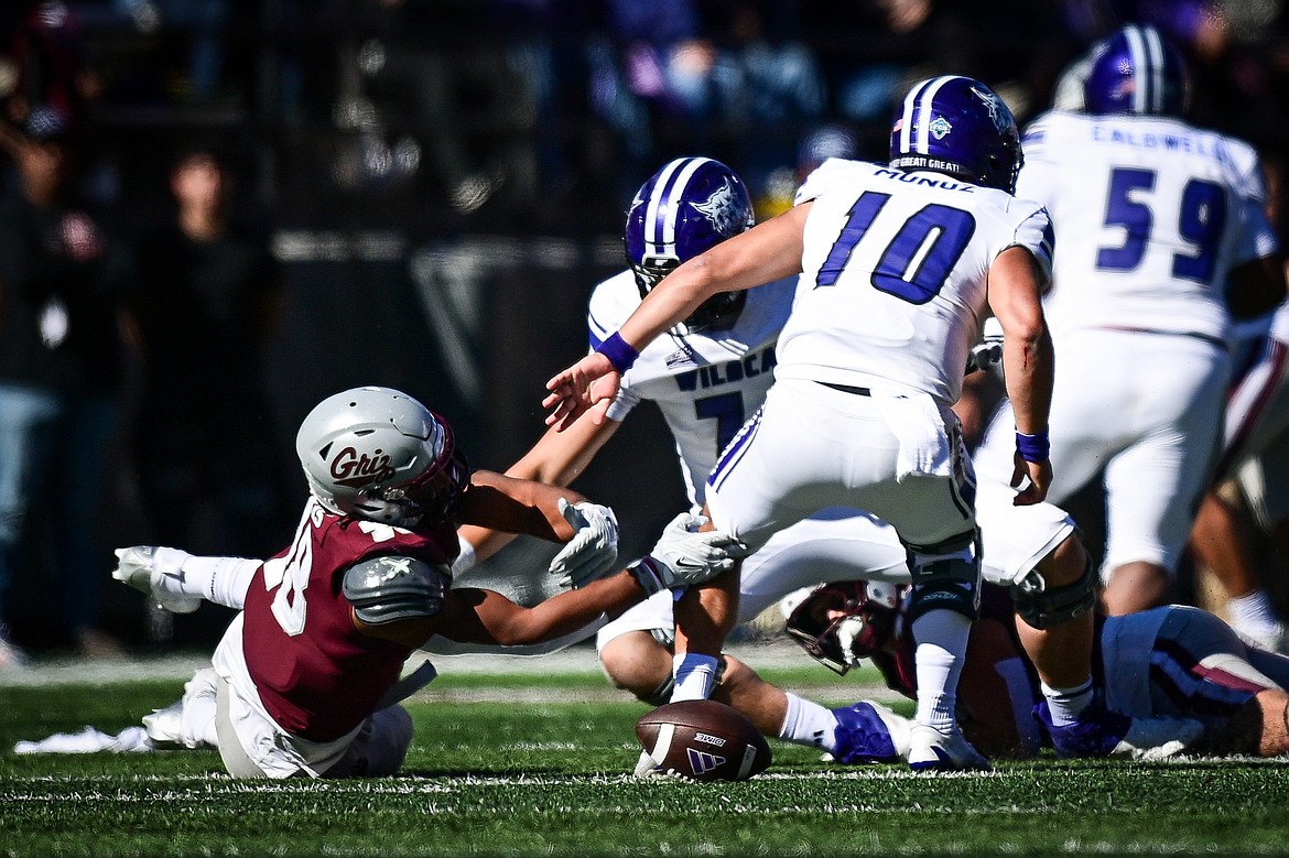 Grizzlies defensive end Hayden Harris (48) forces a fumble by Weber State quarterback Richie Munoz in the second quarter at Washington-Grizzly Stadium on Saturday, Oct. 5. (Casey Kreider/Daily Inter Lake)