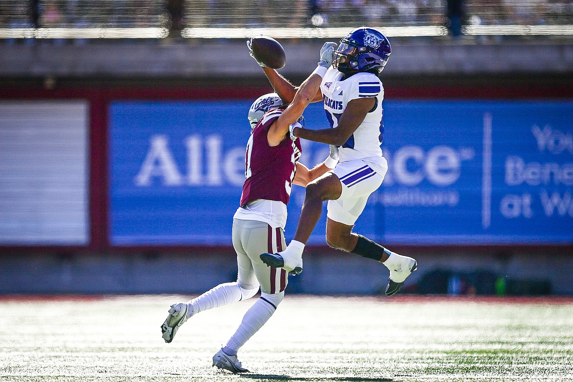 Weber State wide receiver Jaden Thrower (85) catches a 24-yard reception in the first quarter against Montana at Washington-Grizzly Stadium on Saturday, Oct. 5. (Casey Kreider/Daily Inter Lake)