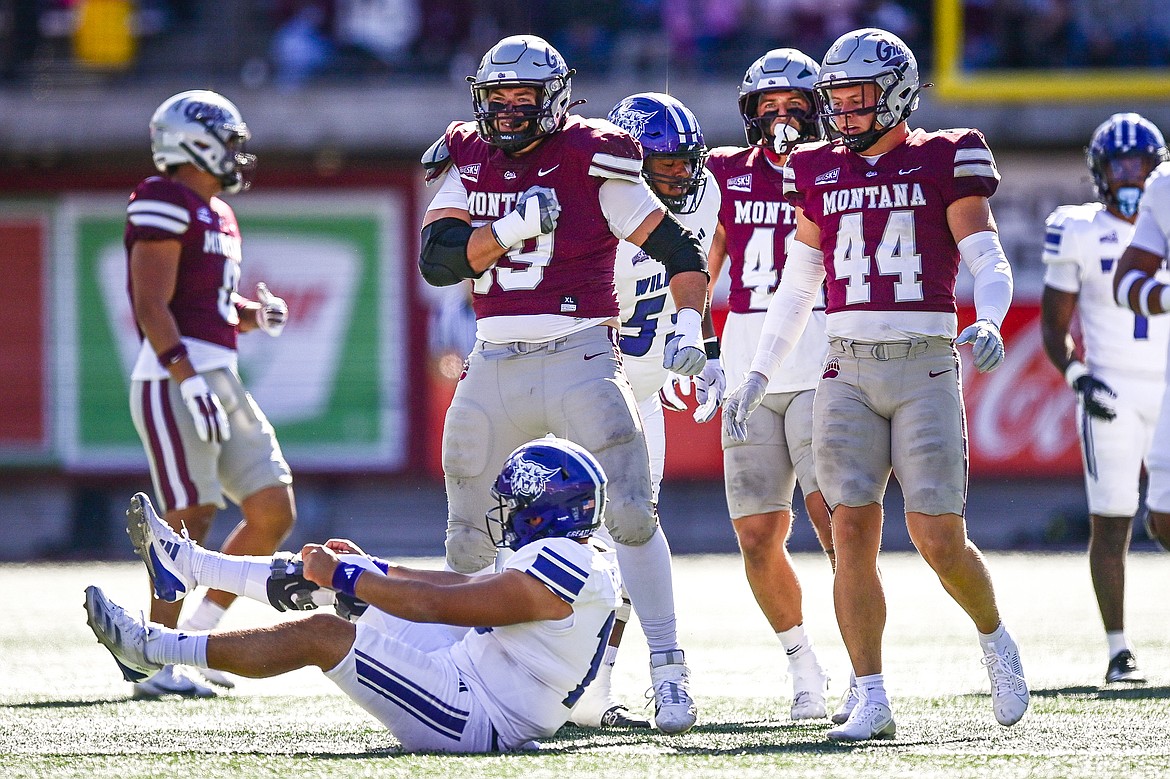 Grizzlies defensive tackle Patrick Hayden (99) celebrates over Weber State quarterback Richie Munoz (10) in the first quarter against Weber State at Washington-Grizzly Stadium on Saturday, Oct. 5. (Casey Kreider/Daily Inter Lake)