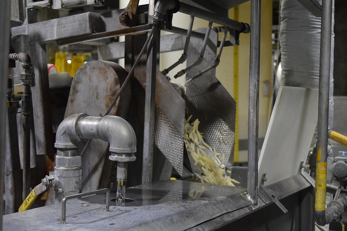 After the French fries are cut at J.R. Simplot they go through an inspection and blanching process to remove extra sugars and add in dextrose to give fries their golden color.