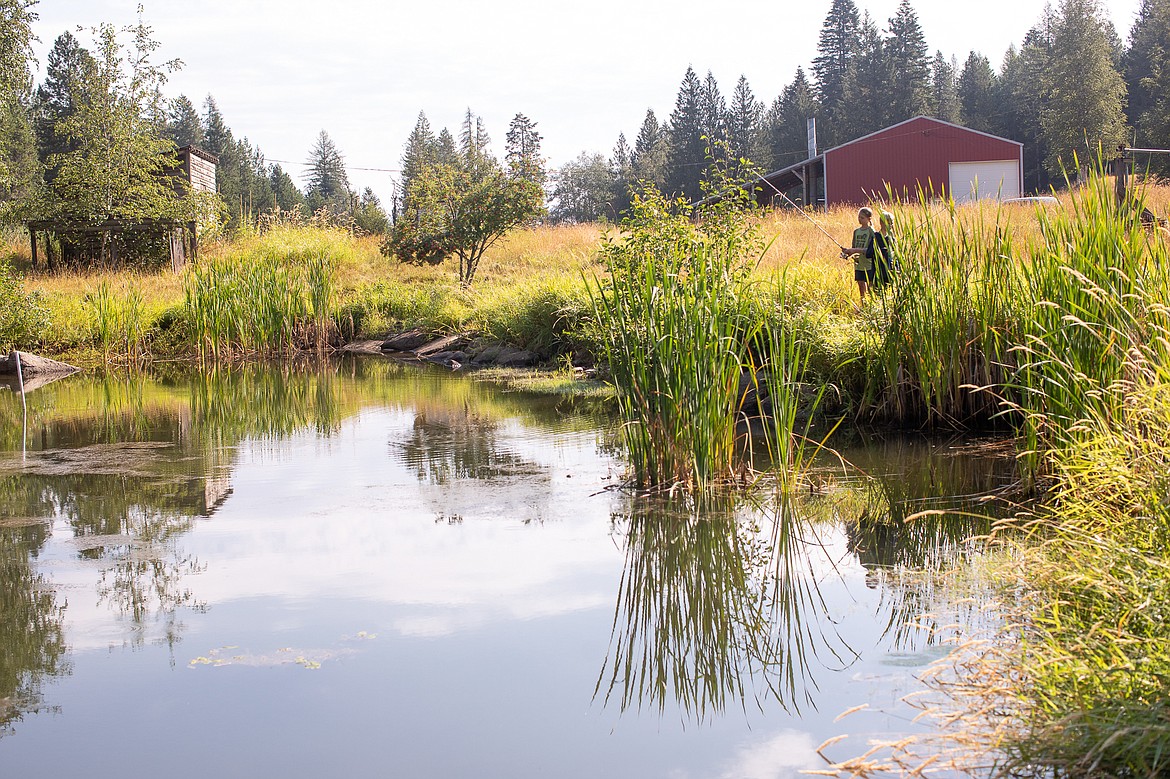 KLT hopes to maximize the public benefit of the property; the organization's planned improvements include a trout pond for kids' fishing.