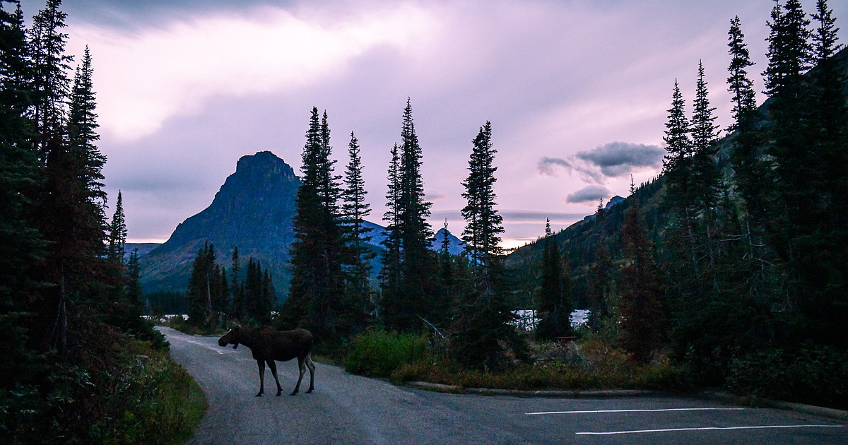 Construction will cause partial closures in Two Medicine, St. Mary in Glacier National Park