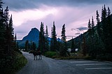 Construction will cause partial closures in Two Medicine, St. Mary in Glacier National Park