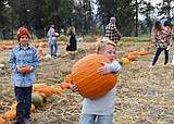 Harvesting memories at Graceland North Farm
