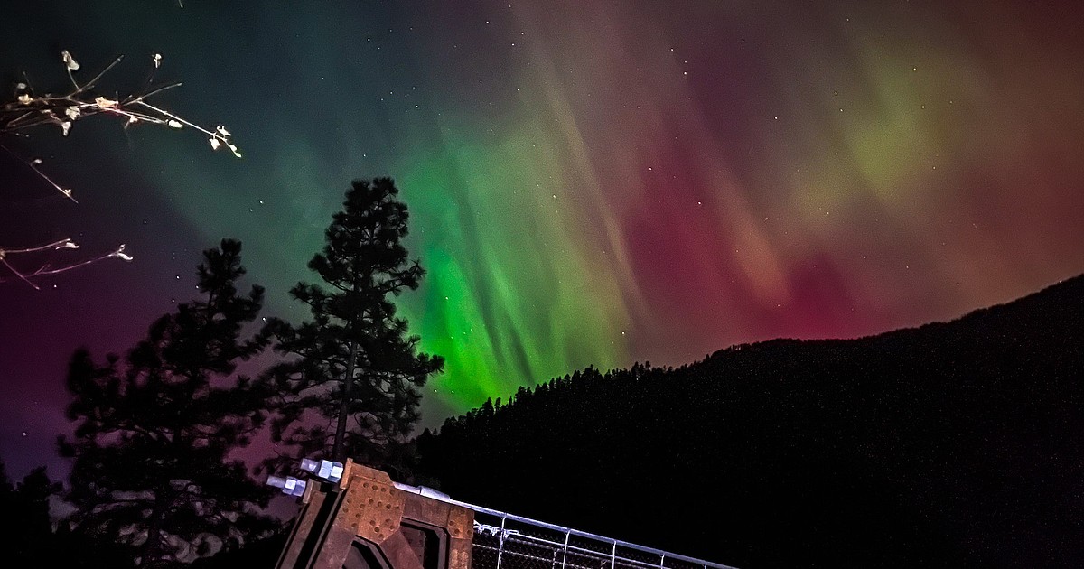 WILD ARTNorthern Lights Western News