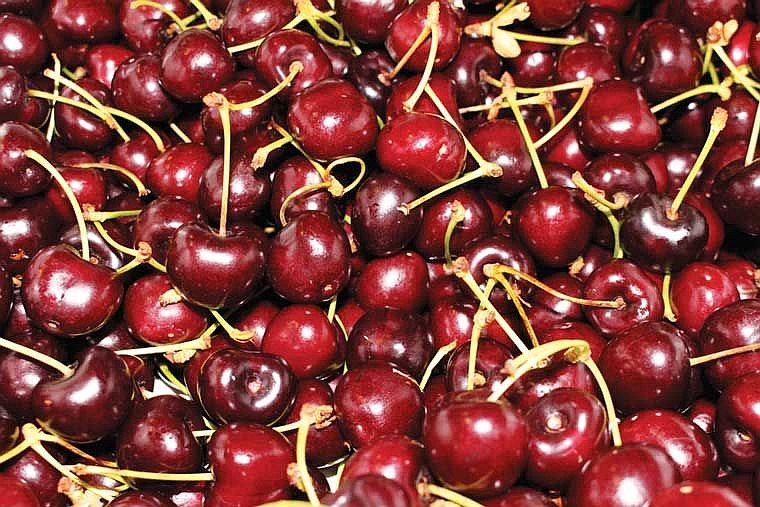 The cherry growing conditions were favorable, with the exception of a heatwave at the start of July that prompted farmers to begin picking cherries earlier than expected, according to President of the Washington Fruit Commission BJ Thurlby