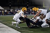Vandals routed by Montana State