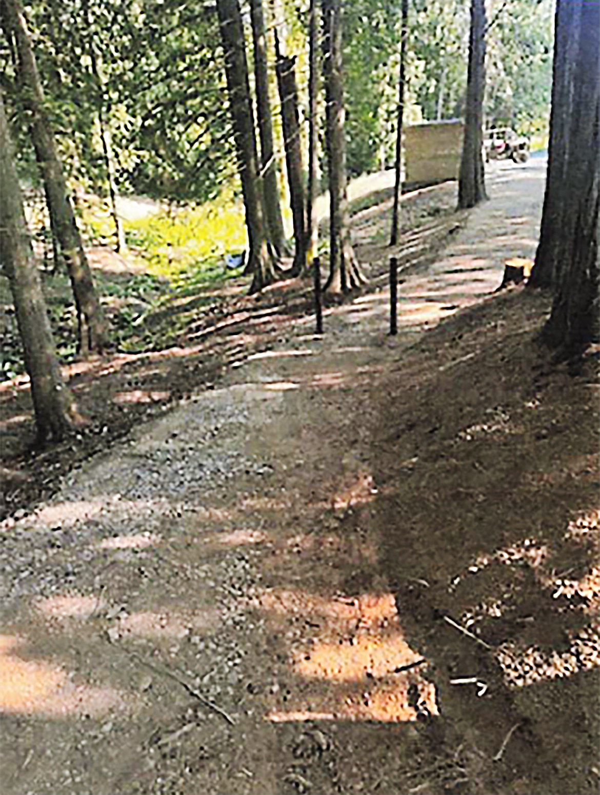 A view of the proposed easement to Lake Pend Oreille in the Camp Bay area in Sagle.