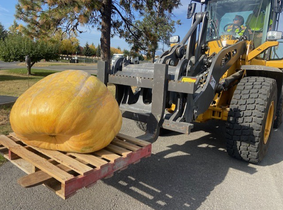 The streets division for the City of Post Falls grew a giant pumpkin.