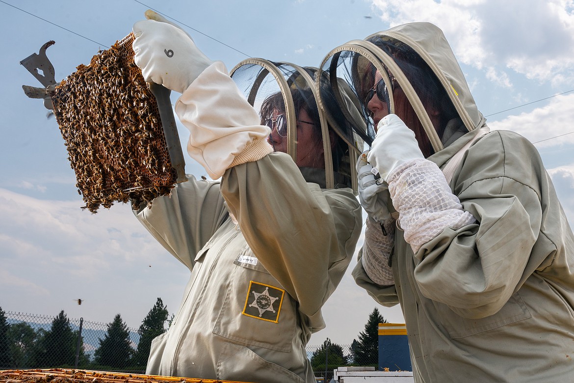 UMOnline hosts an in-person beekeeping field day for the first time after transitioning the program to being fully remote 10 years ago. (UM Photos by Coral Scoles-Coburn)