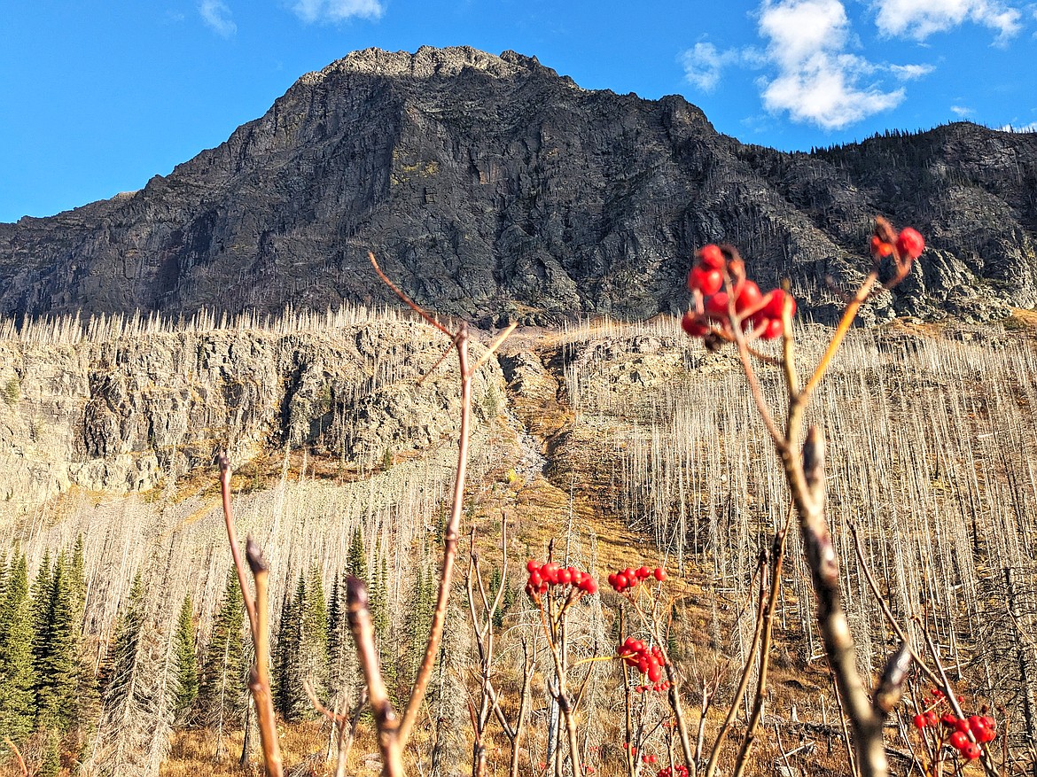 Edwards Mountain from Lake Synder on Oct. 20. (Kelsey Evans/Whitefish Pilot)