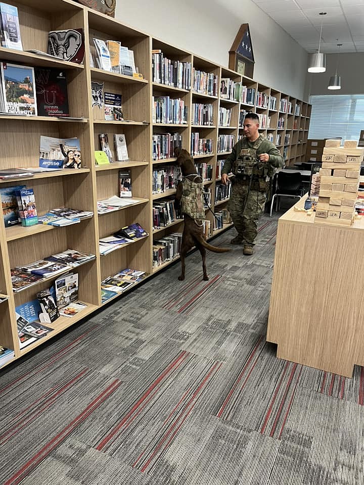 A K-9 from the Hanford Patrol explosives detection team searches the Lind-Ritzville High School library.