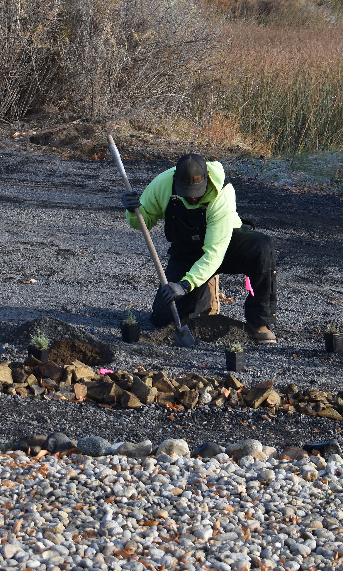 Park Foreman Berto Chavez digs a hole in the native plant garden at Lower Peninsula Park Wednesday morning.