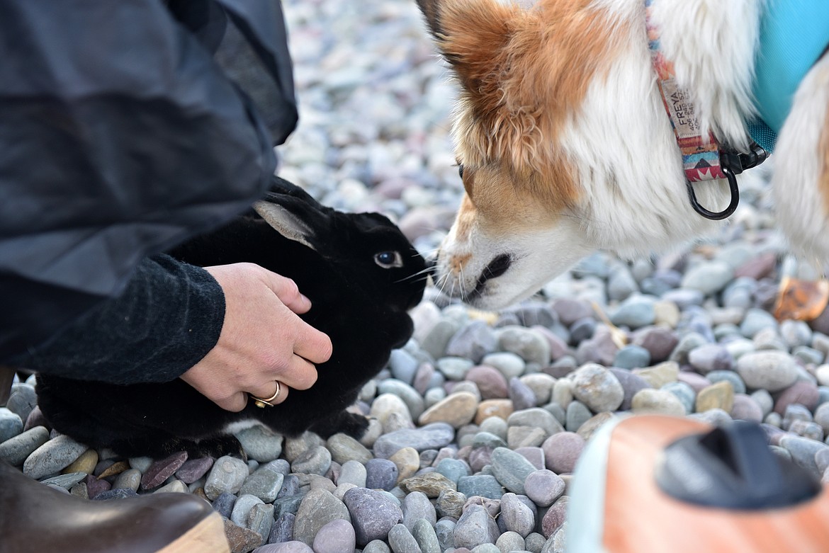 Dozens of residents and their fluffy friends dress as witches  for a fun, spooky venture sweeping and paddling down Whitefish Lake and River on Oct. 17. (Kelsey Evans/Whitefish Pilot)