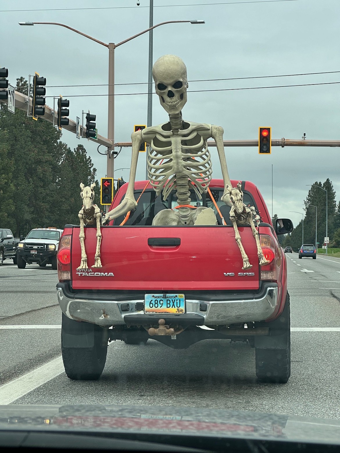 Spooky skeletons traveling on I-95.