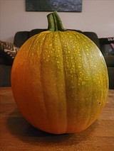 The Exhausted Dad: Gourd season parental bonding